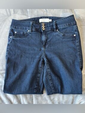 Torrid Dark Indigo Stretch Jeggings